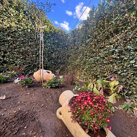 Di Italia Tremezzina-ossuccio Casa Ulivo 公寓 *